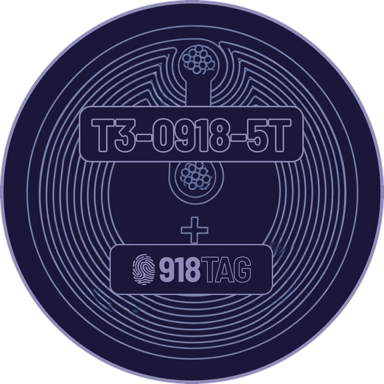 Disco NFC del kit 918TAG
